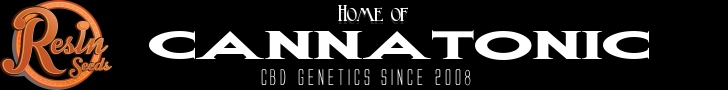 home banner