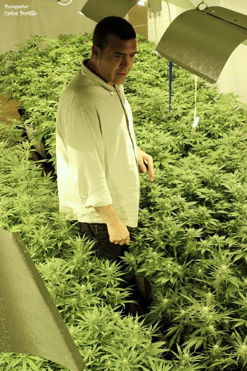 Jaime founder breeder